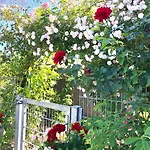 Wohnen-auf-zeit-am-see * Großostheim